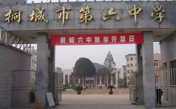 官方發(fā)布｜2025年合肥中考后升學(xué)新選擇：桐城六中綜合高中部開啟本科通道