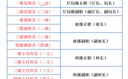 三級調(diào)研員是什么級別