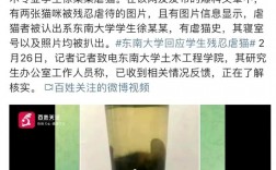 南大復(fù)試刷人很嚴重(考研難度大嗎)