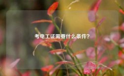 考電工證需要什么條件？