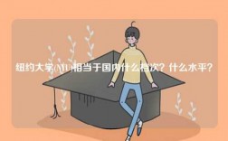 紐約大學(xué)(NYU)相當(dāng)于國內(nèi)什么檔次？什么水平？