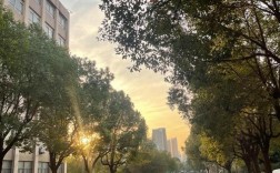 2025年安徽中考250分怎么選？中專？安徽工貿(mào)職業(yè)技術(shù)學院（五年一貫制）免升學焦慮 3年中專2年公辦大專
