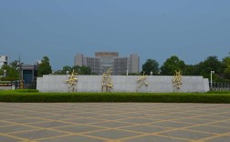 2025年安徽自考本科難度有所下降？211安徽大學(xué)可以選擇哪些專(zhuān)業(yè)？——最全解釋