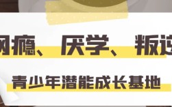 武漢 紐特心理叛逆學(xué)校，上門接送~