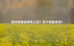 如何快速拿到電工證？多少錢能拿到？