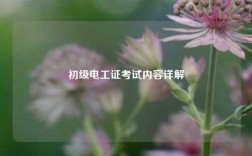 初級(jí)電工證考試內(nèi)容詳解