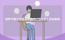 格羅寧根大學(xué)相當(dāng)于國內(nèi)什么大學(xué)？含金量高嗎？