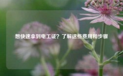 想快速拿到電工證？了解這些費(fèi)用和步驟