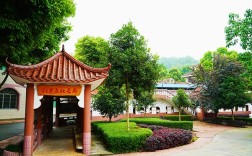 重慶德志錦輝素質教育為什么好評如潮？
