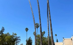 加州理工大學(Caltech)相當于國內(nèi)什么大學？含金量高嗎？