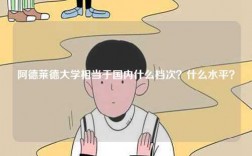 阿德萊德大學相當于國內什么檔次？什么水平？