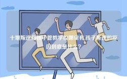 十堰叛逆期孩子管教學(xué)校哪里有,孩子叛逆的原因到底是什么？