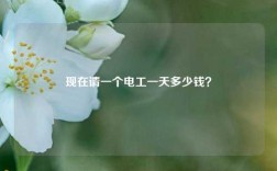 現(xiàn)在請一個電工一天多少錢？