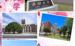 京都大學(xué)相當(dāng)于國內(nèi)什么檔次？什么水平？