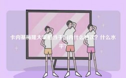 卡內(nèi)基梅隆大學相當于國內(nèi)什么檔次？什么水平？