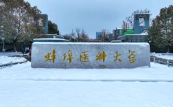 醫(yī)學類自考本科安徽可選院校2025年匯總：?？品轻t(yī)學專業(yè)能否報考？——蚌埠醫(yī)科大學怎么報名？