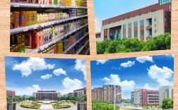 合肥共達(dá)職業(yè)技術(shù)學(xué)院2025年復(fù)讀班升學(xué)率怎樣？有哪些專業(yè)？安徽高考分?jǐn)?shù)要求？