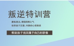 孩子不服管教叛逆網(wǎng)癮能送哪里管教(推薦戒網(wǎng)癮學校)-不體罰打罵，從心理開始