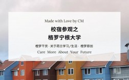 格羅寧根大學(xué)相當(dāng)于國(guó)內(nèi)什么檔次？什么水平？