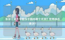 東京工業(yè)大學(xué)相當(dāng)于國(guó)內(nèi)哪個(gè)大學(xué)？世界排名多少？