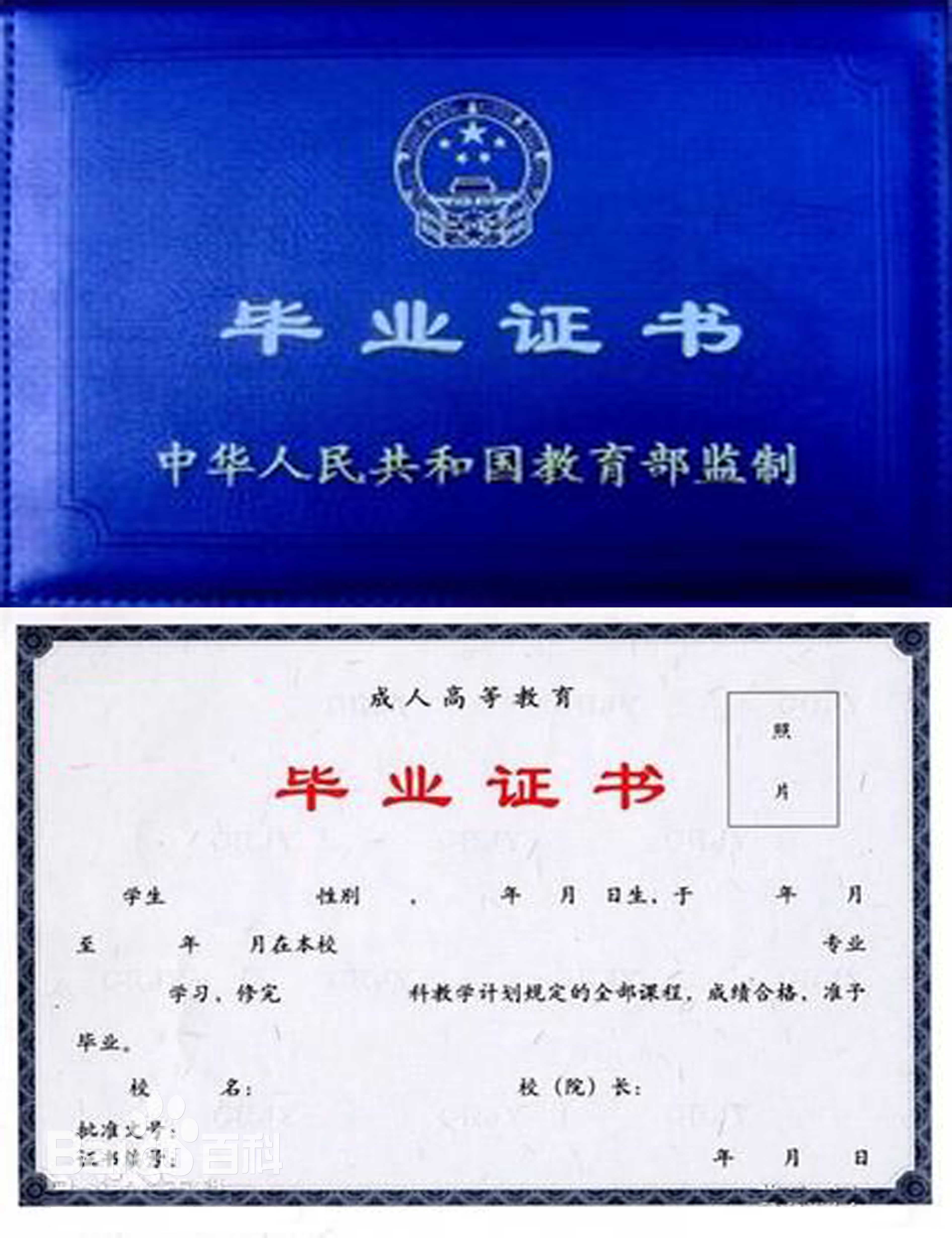 求購(gòu)大專(zhuān)文憑(有沒(méi)有直接買(mǎi)的大專(zhuān))-圖1