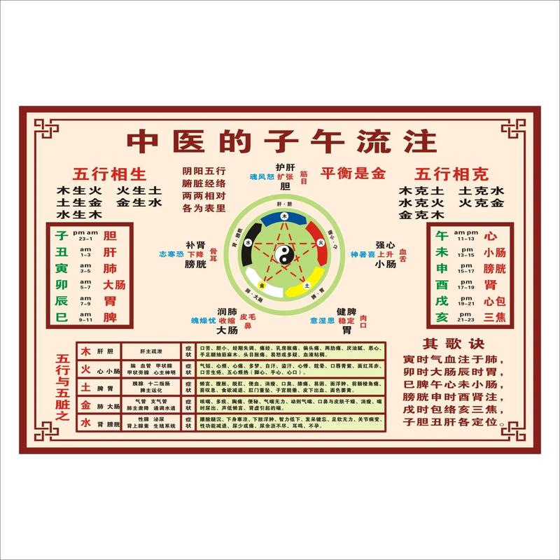 中醫(yī)入門先學什么-圖1