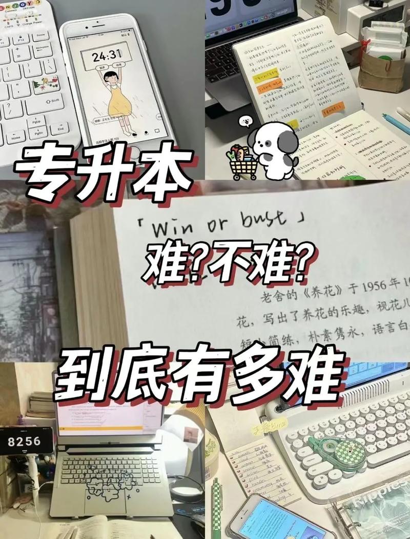 電子商務(wù)專(zhuān)升本難嗎-圖1