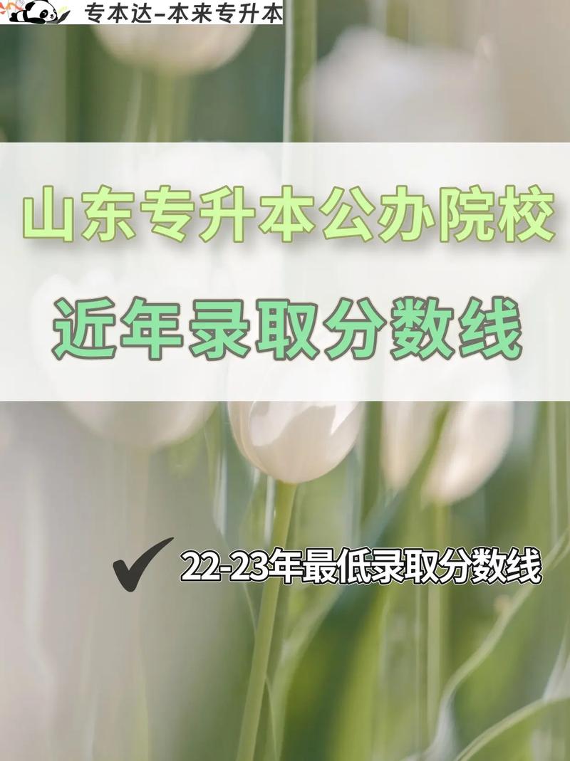 山東招收專升本的學(xué)校 報考條件有哪些-圖1