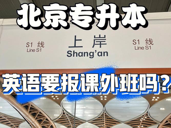北京專(zhuān)升本官網(wǎng)入口www.bjeea.cn-圖1