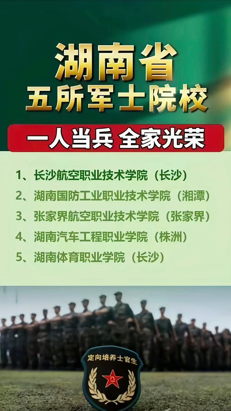 定向士官淘汰率多高？具體數(shù)據(jù)如何？-圖1