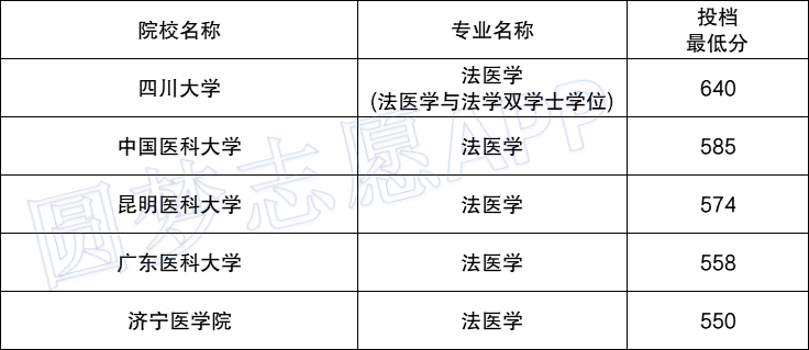 報考法醫(yī)的基本條件-圖1