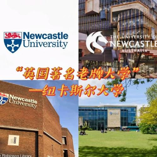 紐卡斯?fàn)柎髮W(xué)相當(dāng)于國內(nèi)什么大學(xué)？含金量高嗎？-圖1