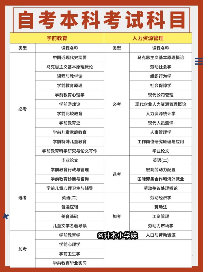 自考能報(bào)什么-圖1