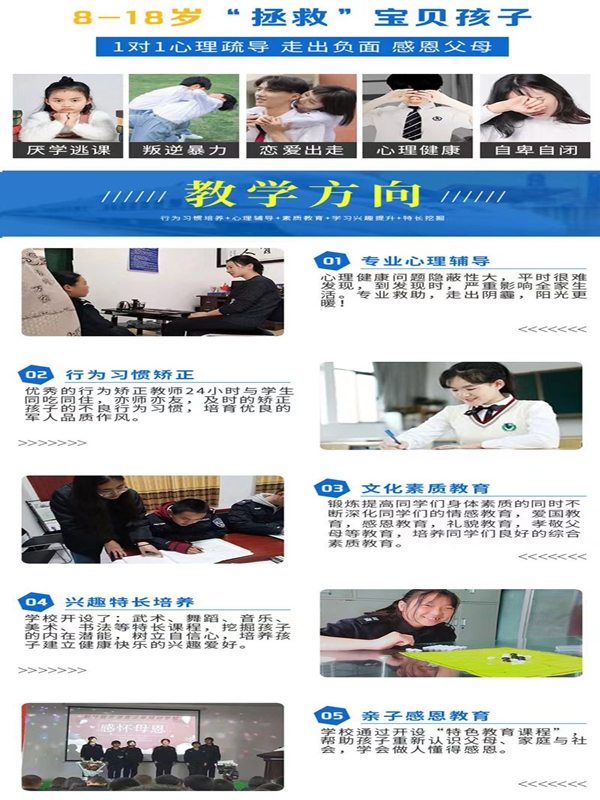 青少年網(wǎng)癮與叛逆問題：優(yōu)選教育學校指南-圖3
