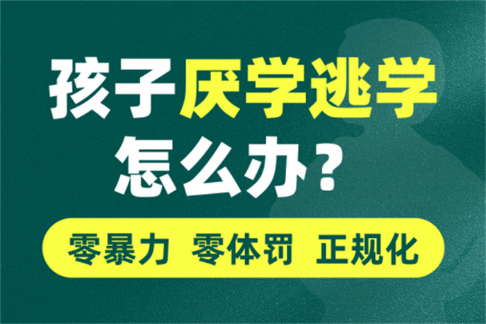 武漢市孩子叛逆全封閉學(xué)校：紐特心理學(xué)校特色、課程介紹-圖2