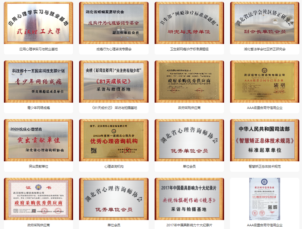 荊門(mén)的十大專(zhuān)門(mén)矯正青少年叛逆厭學(xué)網(wǎng)癮教育學(xué)校名單一覽-圖3 荊門(mén)的十大專(zhuān)門(mén)矯正青少年叛逆厭學(xué)網(wǎng)癮教育學(xué)校名單一覽-圖3