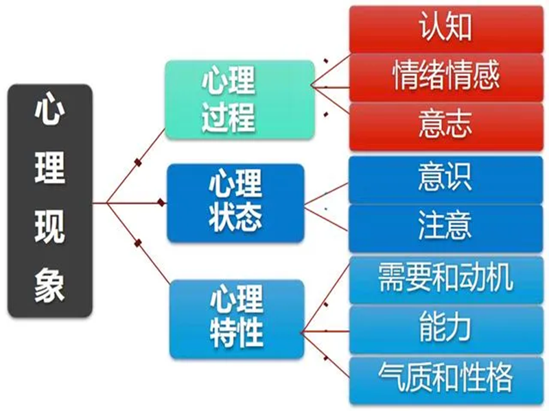 2025年中心協(xié)心理咨詢師怎么報名？-圖3