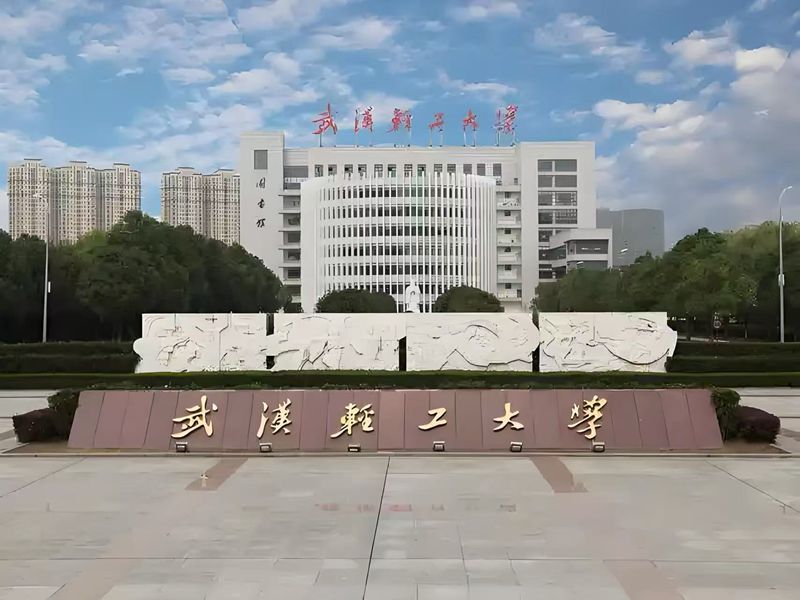2025年武漢輕工大學成人高考大專機械設計與制造專業(yè)概覽-圖1