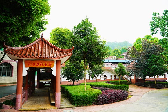 重慶德志錦輝素質(zhì)教育為什么好評如潮？-圖1