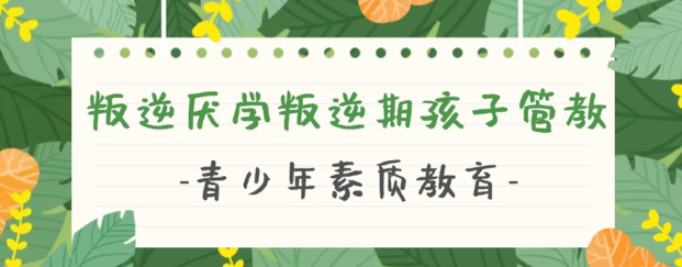 武漢紐特心理-央視唯一報道品牌,武漢專注青少年網(wǎng)癮叛逆學(xué)校-圖1