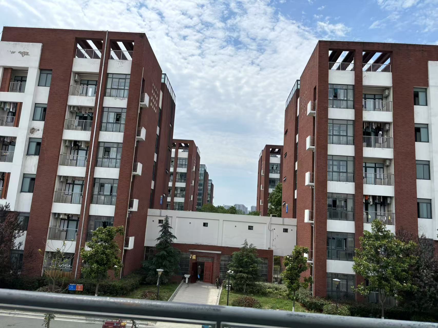 職普融通班招生新政！2025舒城一中報名條件及培養(yǎng)方向-圖1