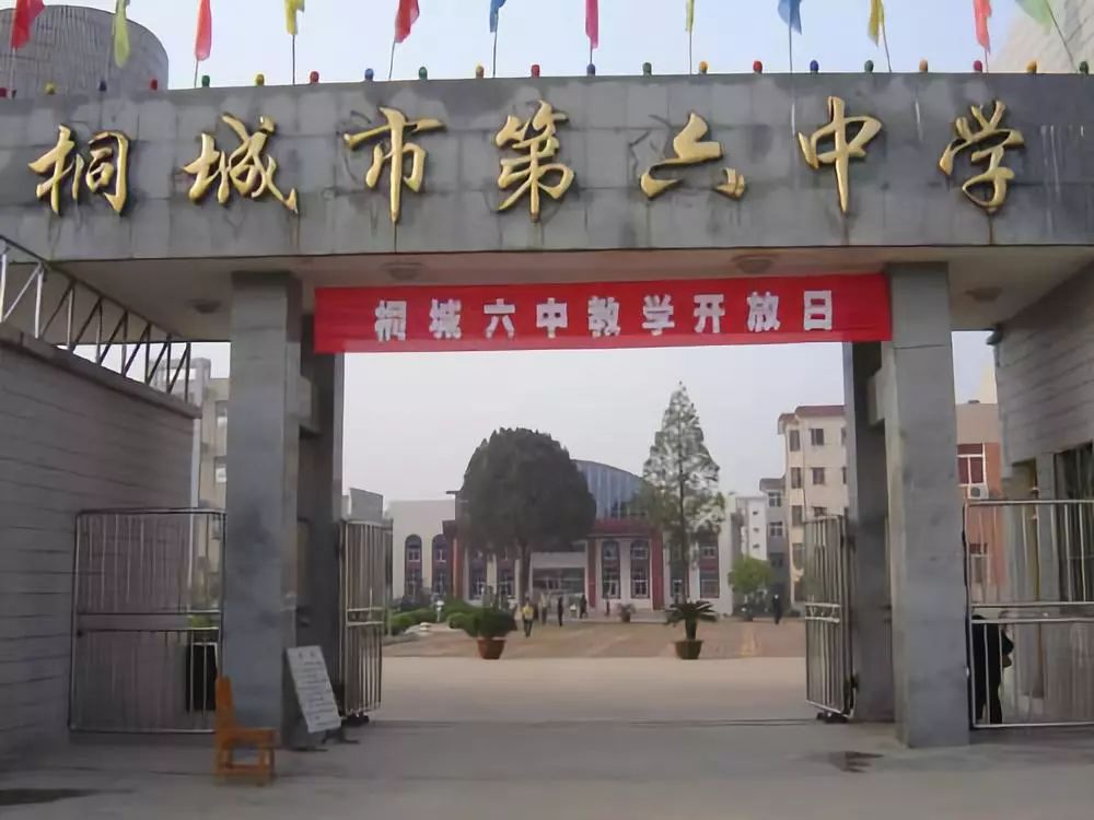 官方發(fā)布｜2025年合肥中考后升學(xué)新選擇：桐城六中綜合高中部開啟本科通道-圖1