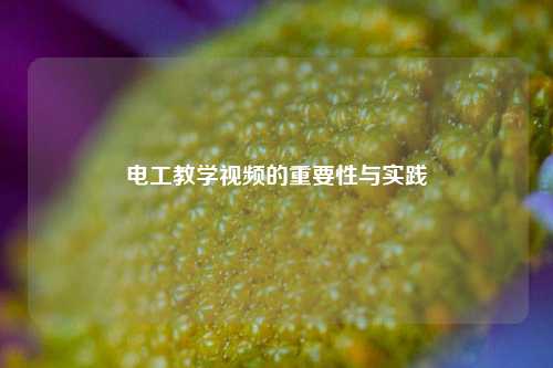電工教學(xué)視頻的重要性與實(shí)踐-圖1