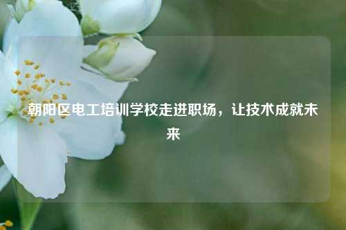 朝陽(yáng)區(qū)電工培訓(xùn)學(xué)校走進(jìn)職場(chǎng)，讓技術(shù)成就未來(lái)-圖1