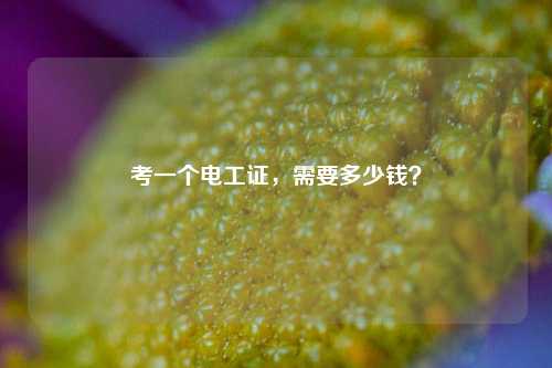 考一個(gè)電工證，需要多少錢(qián)？-圖1