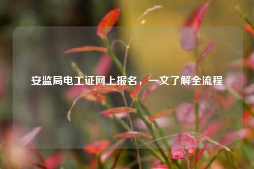 安監(jiān)局電工證網(wǎng)上報名，一文了解全流程-圖1