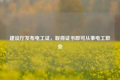建設(shè)廳發(fā)布電工證，取得證書即可從事電工職業(yè)-圖1