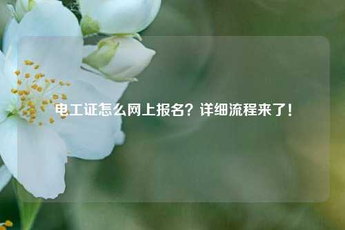 電工證怎么網(wǎng)上報(bào)名？詳細(xì)流程來了！-圖1