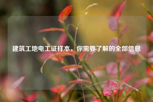 建筑工地電工證樣本，你需要了解的全部信息-圖1