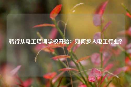 轉(zhuǎn)行從電工培訓學校開始：如何步入電工行業(yè)？-圖1